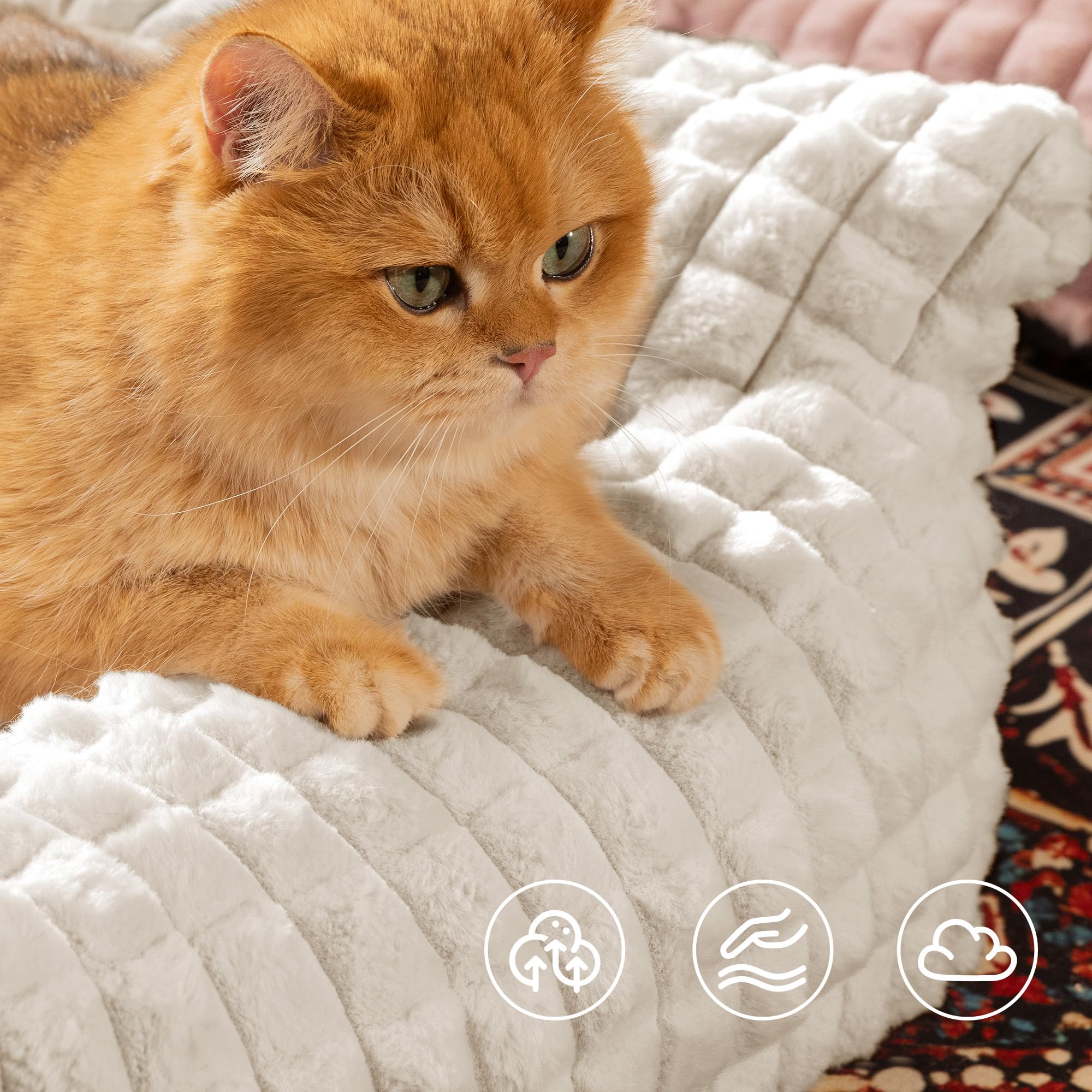 blunique removable washable cover for easy cleaning and care