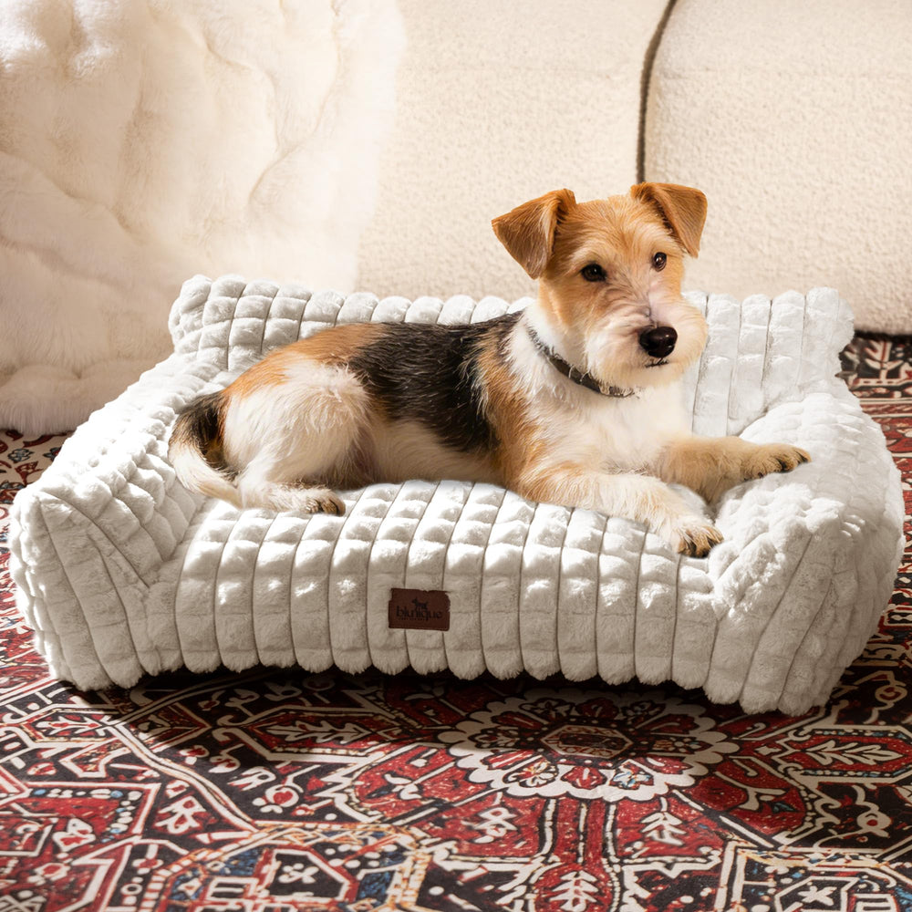 blunique cute dog bed with soft faux rabbit fur surface for cozy lounging