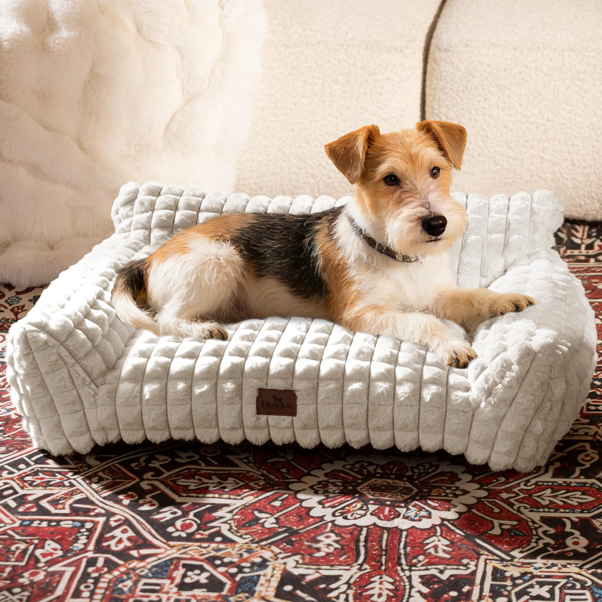 blunique cute dog bed with soft faux rabbit fur surface for cozy lounging