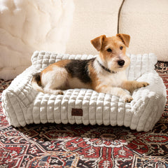 blunique cute dog bed with soft faux rabbit fur surface for cozy lounging