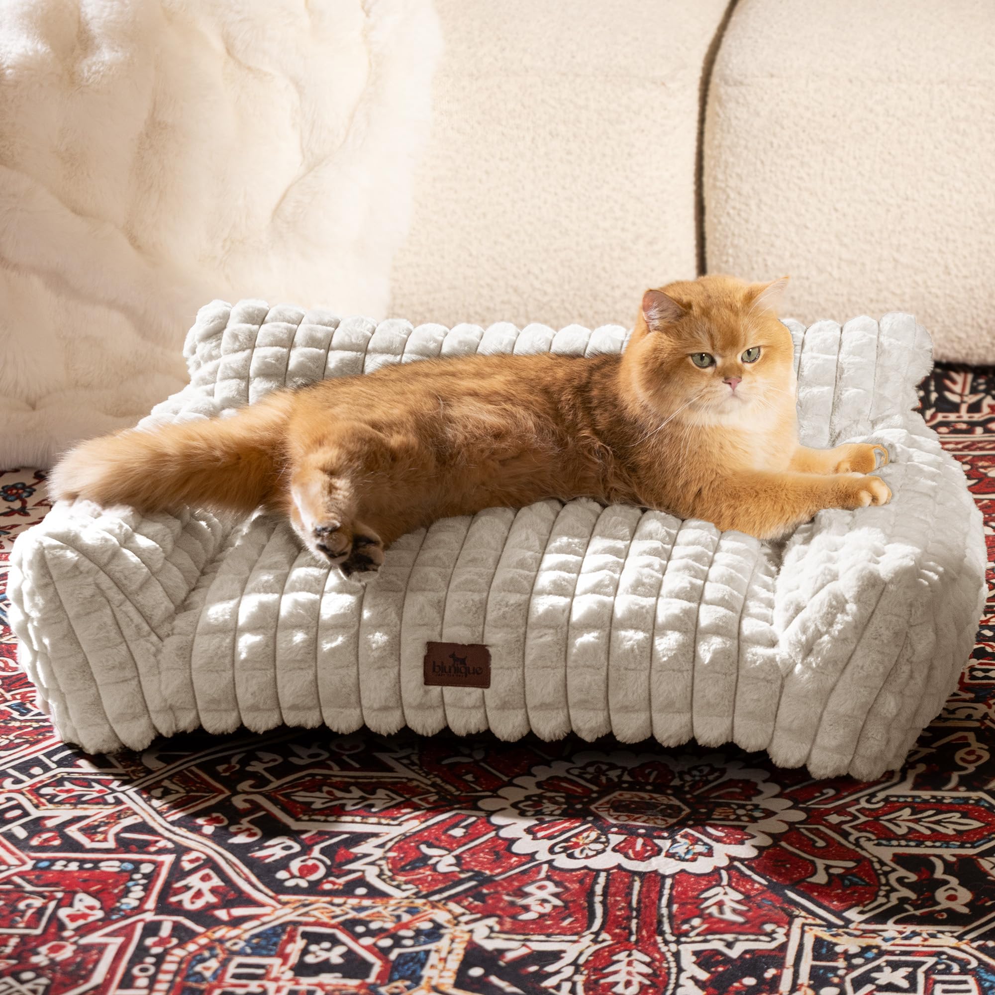 blunique spacious design offers more room for pets to stretch out