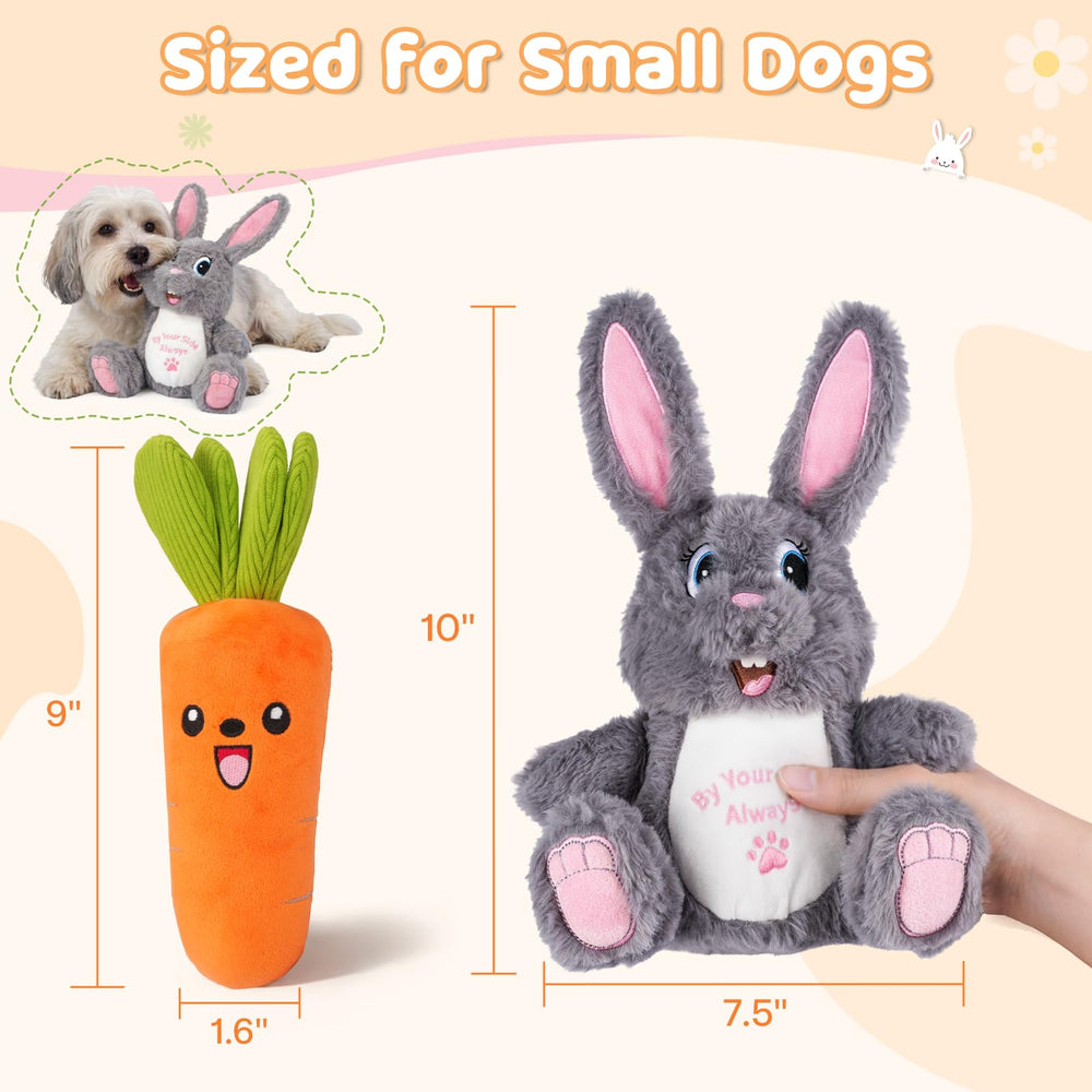 BluPup Carrot toy ready for indoor fetch and play sessions.