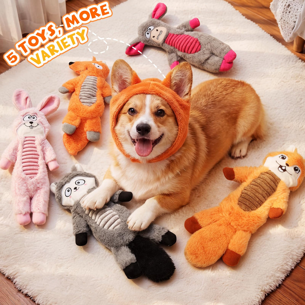 BluPup five-pack offers versatile options for multi-dog homes.