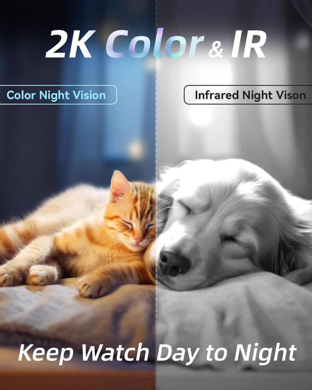 Blurams Pet Camera 2K color night vision helps you see clearly at night.