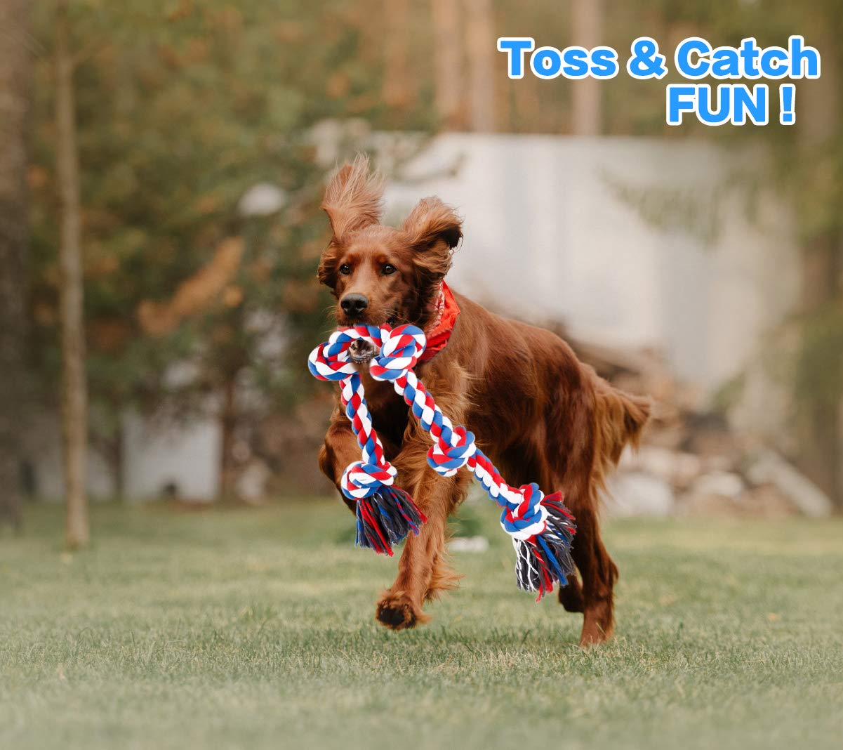 Bmag dog rope toy as a training aid for energy release and focus.