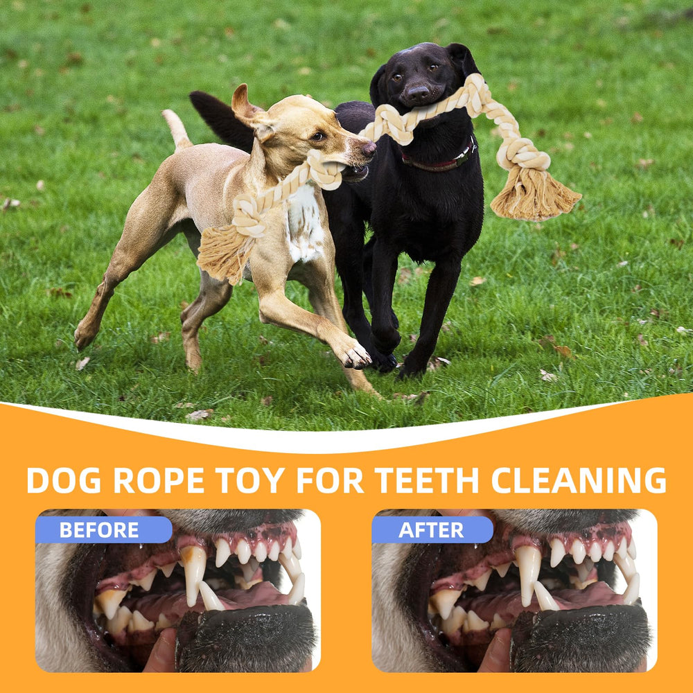 Bmag dog rope toy training essentials aids focus and energy management