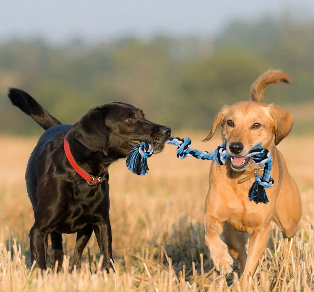Bmag Dog Rope Toy for tug of war, encouraging bonding and active play.