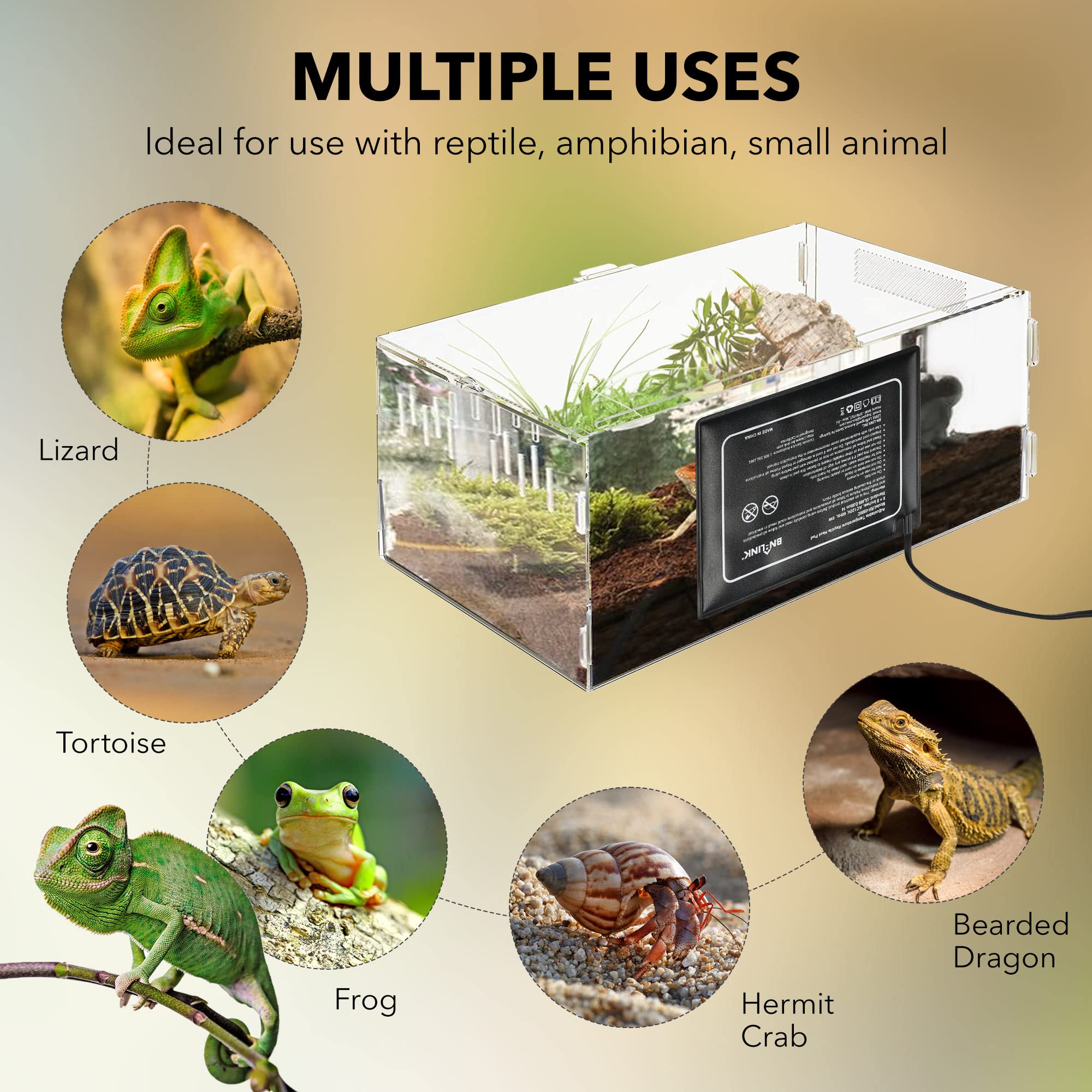 BN-LINK reptile heating pad terrarium setup ready for 10-20 gallon tank