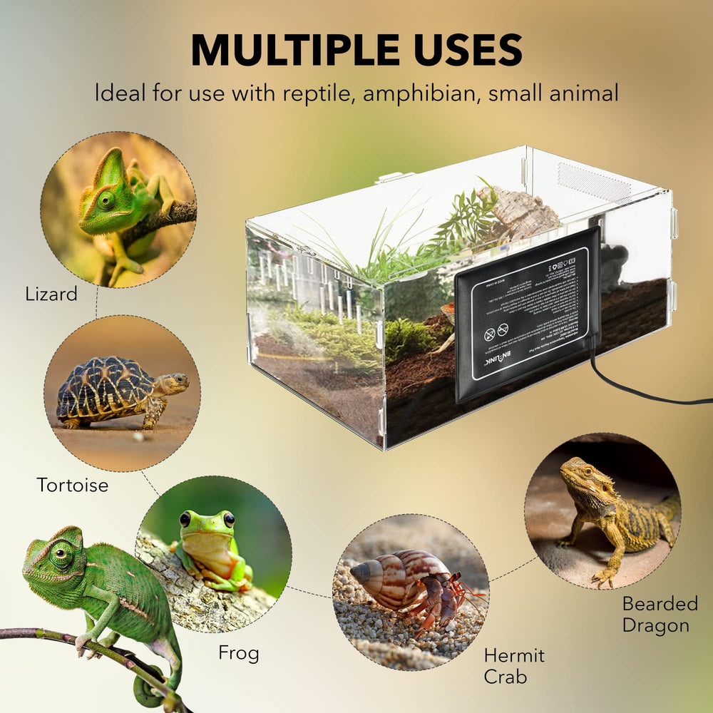 BN-LINK reptile heating pad terrarium setup ready for 10-20 gallon tank