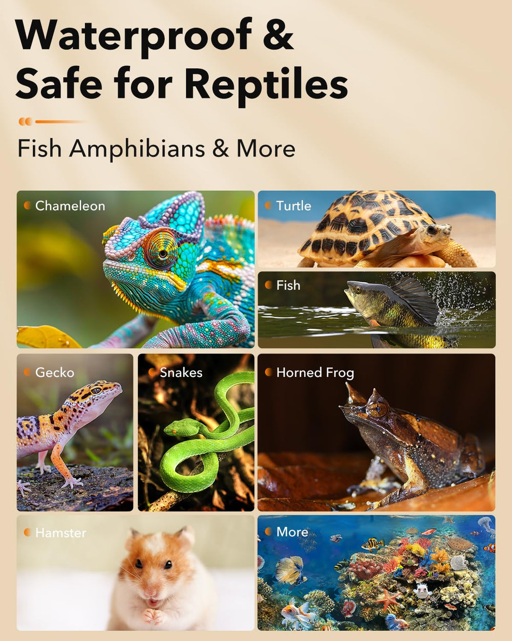 BN-LINK waterproof reptile heat pad surface suitable for humid terrarium environments.
