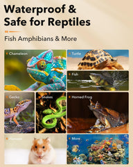 BN-LINK waterproof reptile heat pad surface suitable for humid terrarium environments.