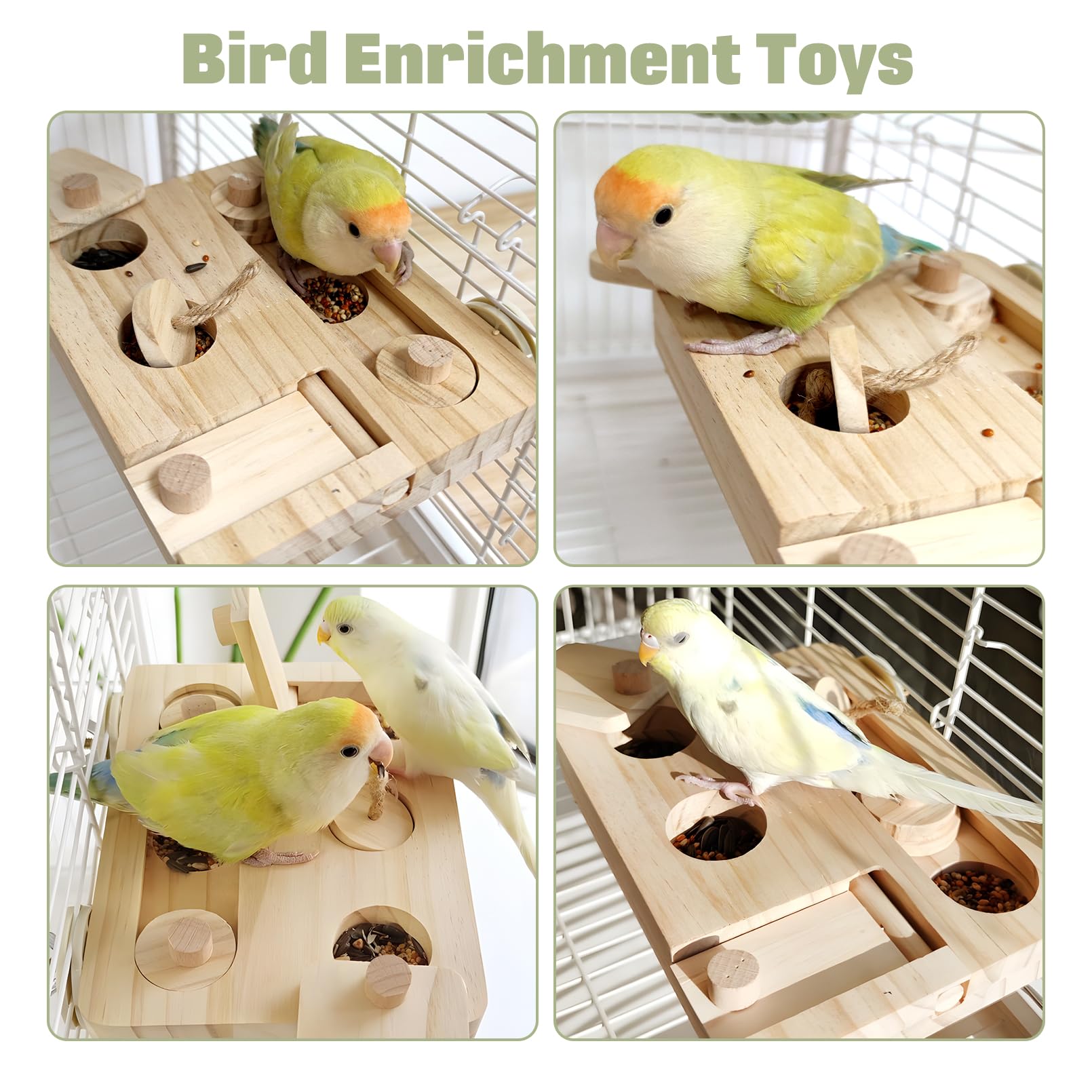 BNOSDM-7inch-by-5-3inch-dimension indicates compact size for small cages.