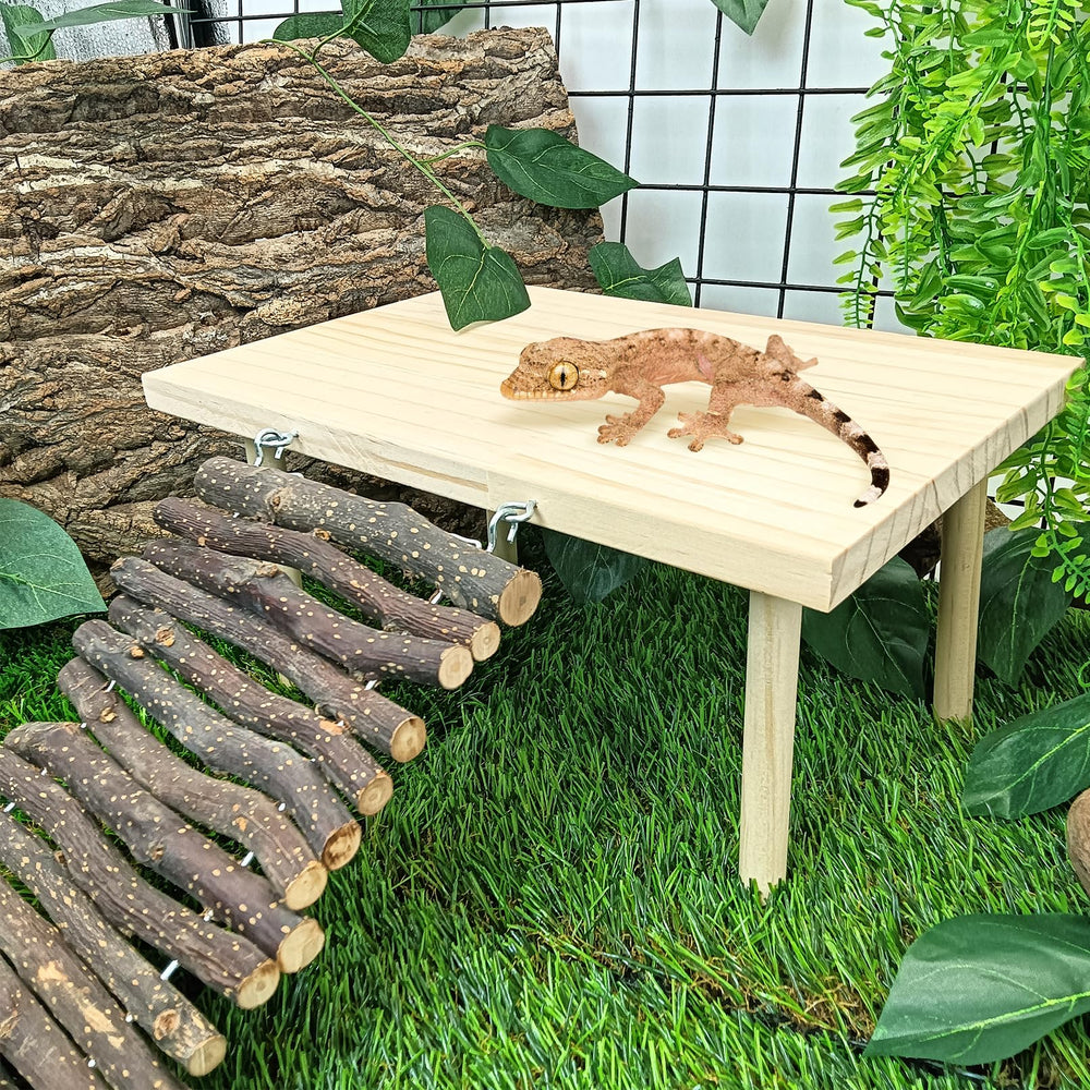 BNOSDM lizard platform with wooden bridge invites climbing and exploration