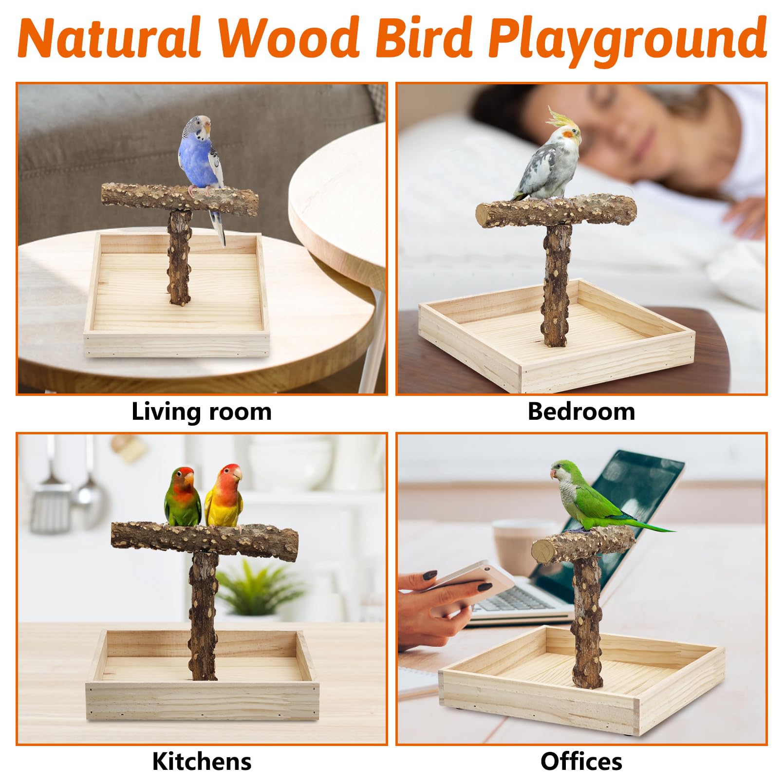 BNOSDM cleanable bird perch tray keeps play area tidy
