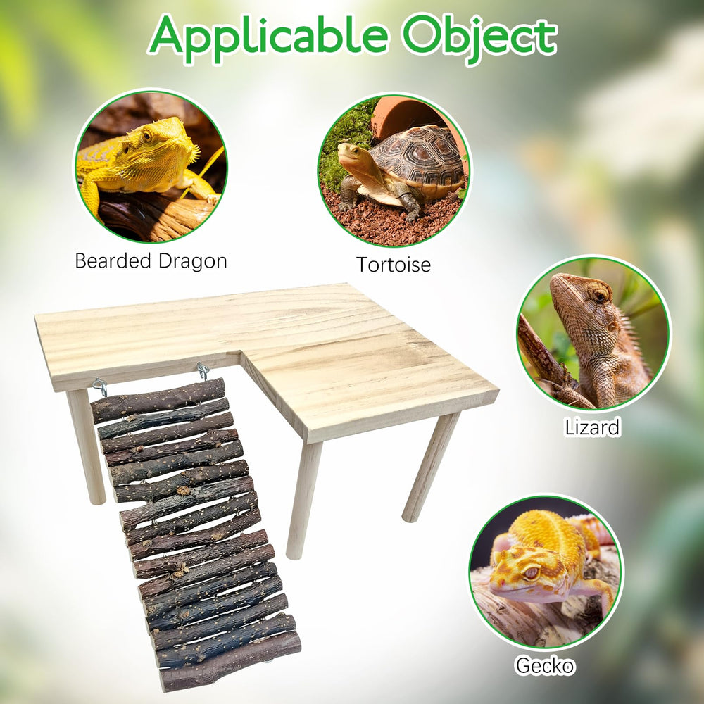 BNOSDM compact-size platform fits small reptiles like lizards and geckos.