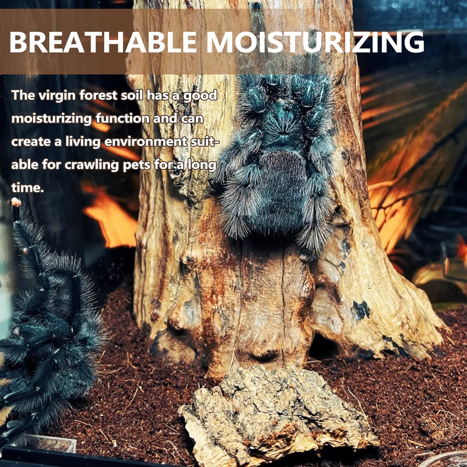 BNOSDM digging-enrichment substrate encourages instinctive digging behavior.