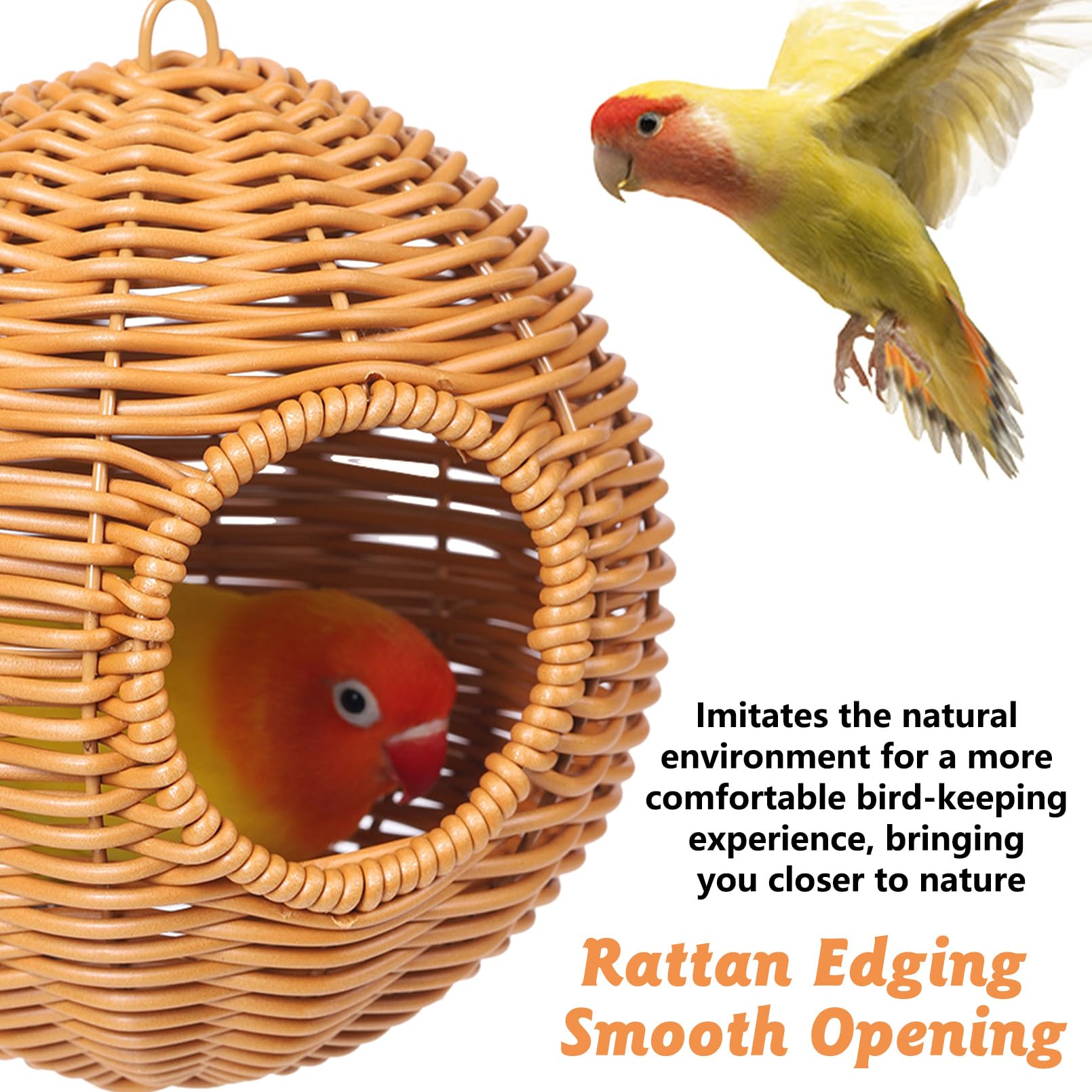 BNOSDM easy-clean-drying-nest simplifies maintenance between uses.