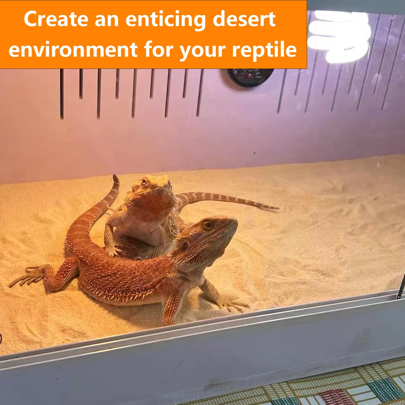 BNOSDM reptile sand frog enclosure substrate desert