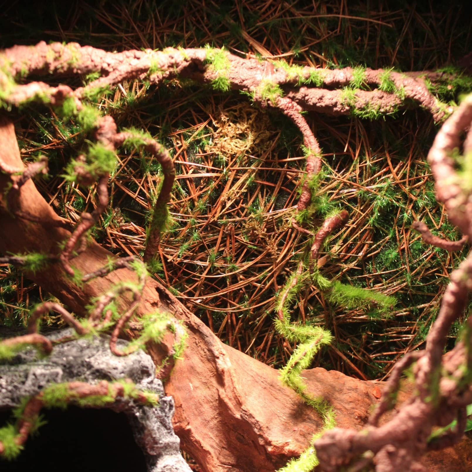 BNOSDM gecko-lizard habitat vine adds vertical space and enrichment for climbing