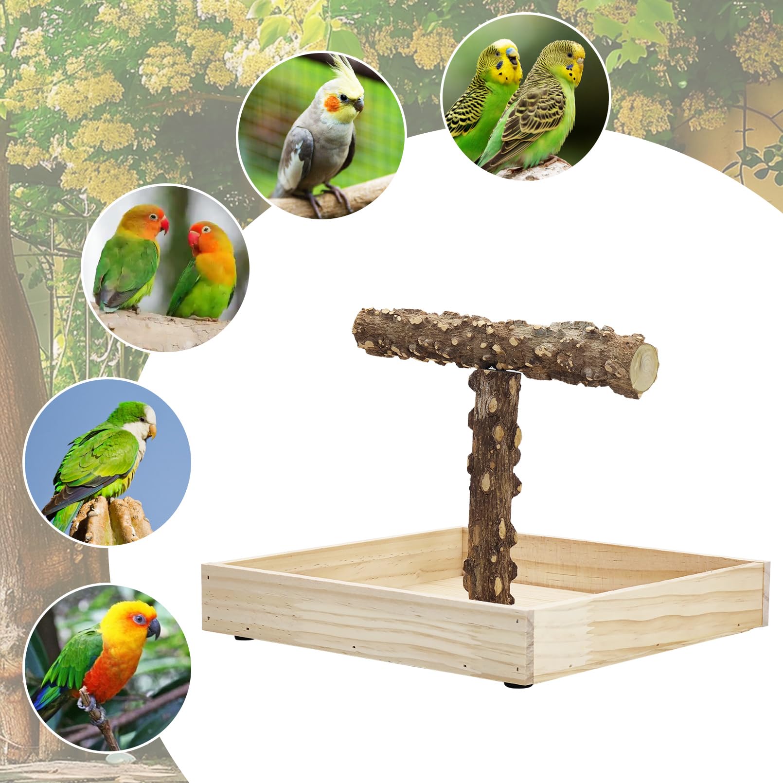 BNOSDM gift-ready bird perch for feathered partners this season
