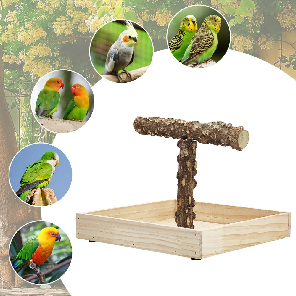 BNOSDM gift-ready bird perch for feathered partners this season
