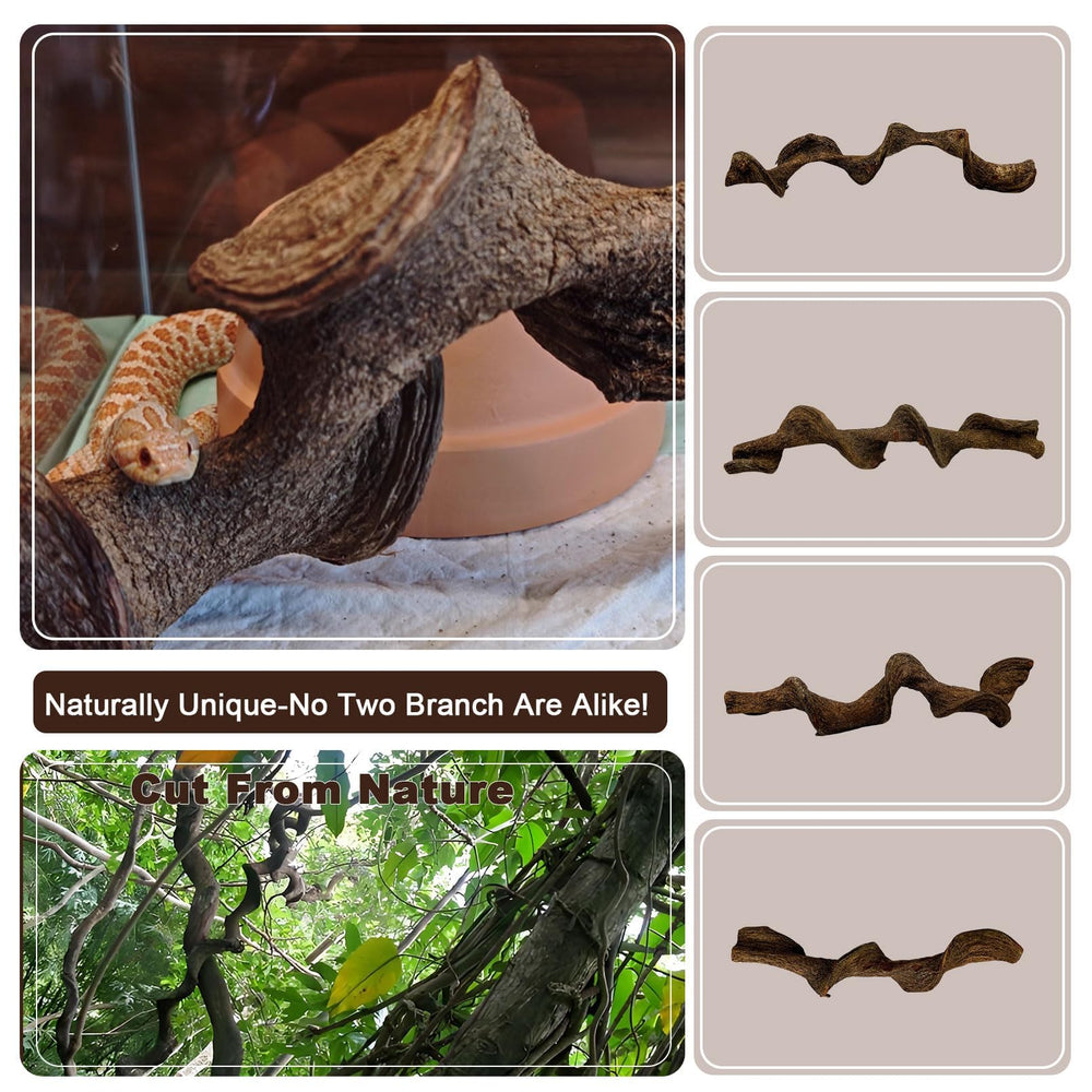 BNOSDM leopard gecko enclosure branch mimics natural trees