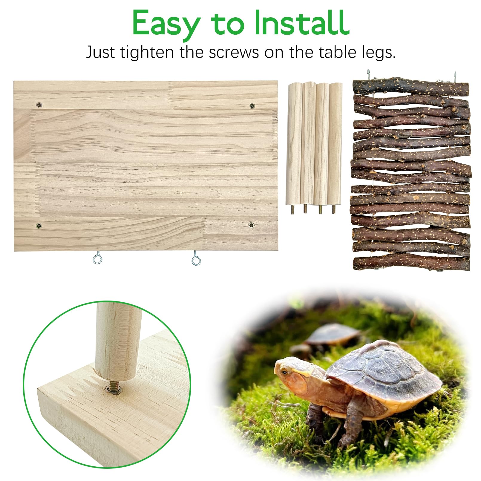BNOSDM bearded dragon-friendly platform encourages sunning and natural activity