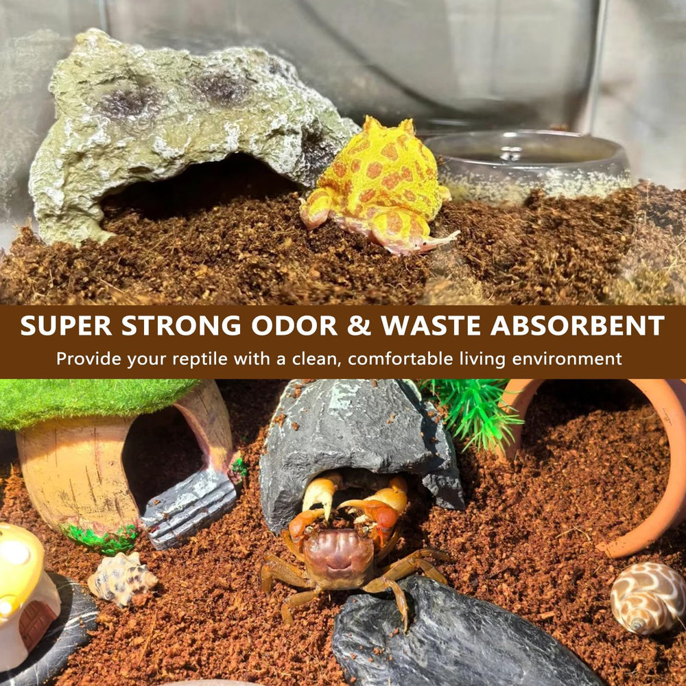 BNOSDM moisture-retention substrate supports comfortable burrowing and microclimates.