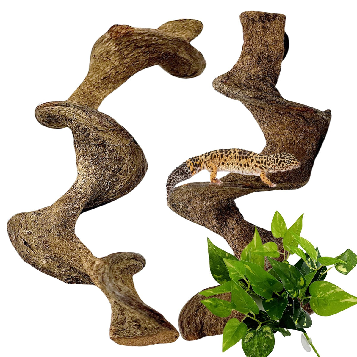 BNOSDM natural reptile branch 13-inch climbing perch for bearded dragons