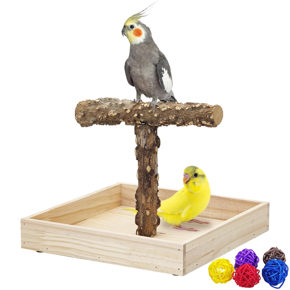 BNOSDM portable bird perch stand beside a desk for close interaction