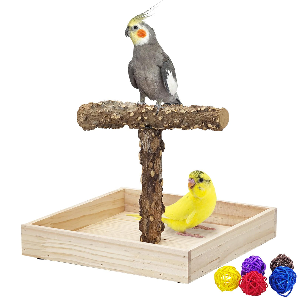 BNOSDM portable bird perch stand beside a desk for close interaction