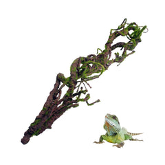 BNOSDM reptile bend-a-branch vines with moss for lifelike terrarium decor