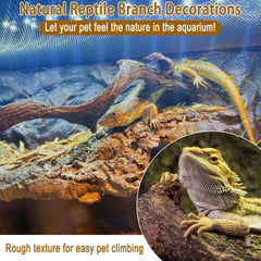 BNOSDM reptile branch decor with natural forest wood texture for enrichment