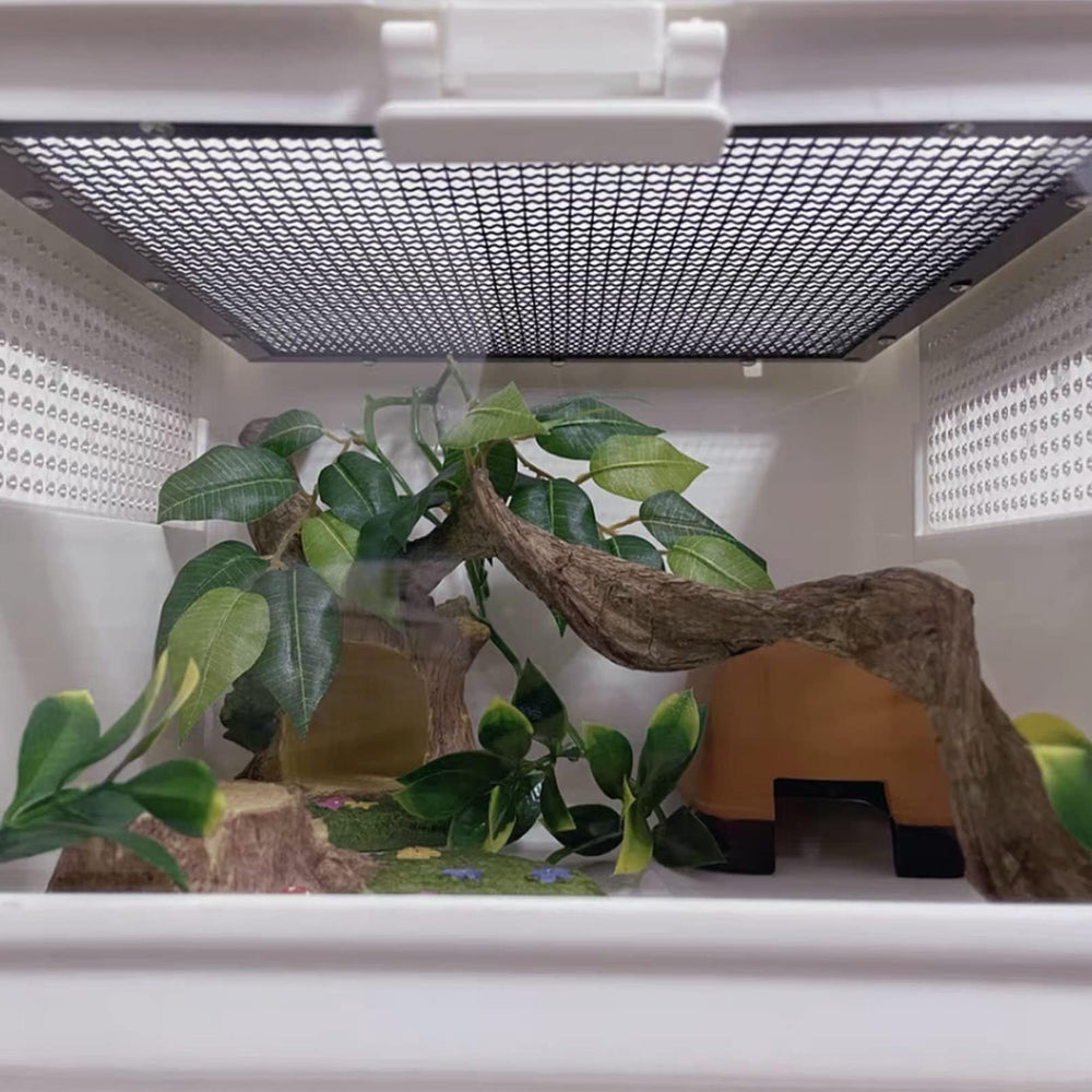 BNOSDM reptile branch decor blends with enclosure glass for a realistic habitat