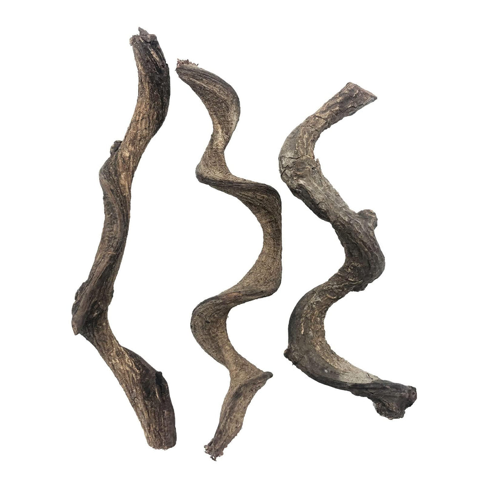 BNOSDM reptile branch forest texture for climbing enrichment in terrariums.