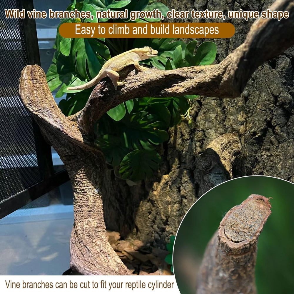 BNOSDM reptile branch close-up showing safe natural wood texture.