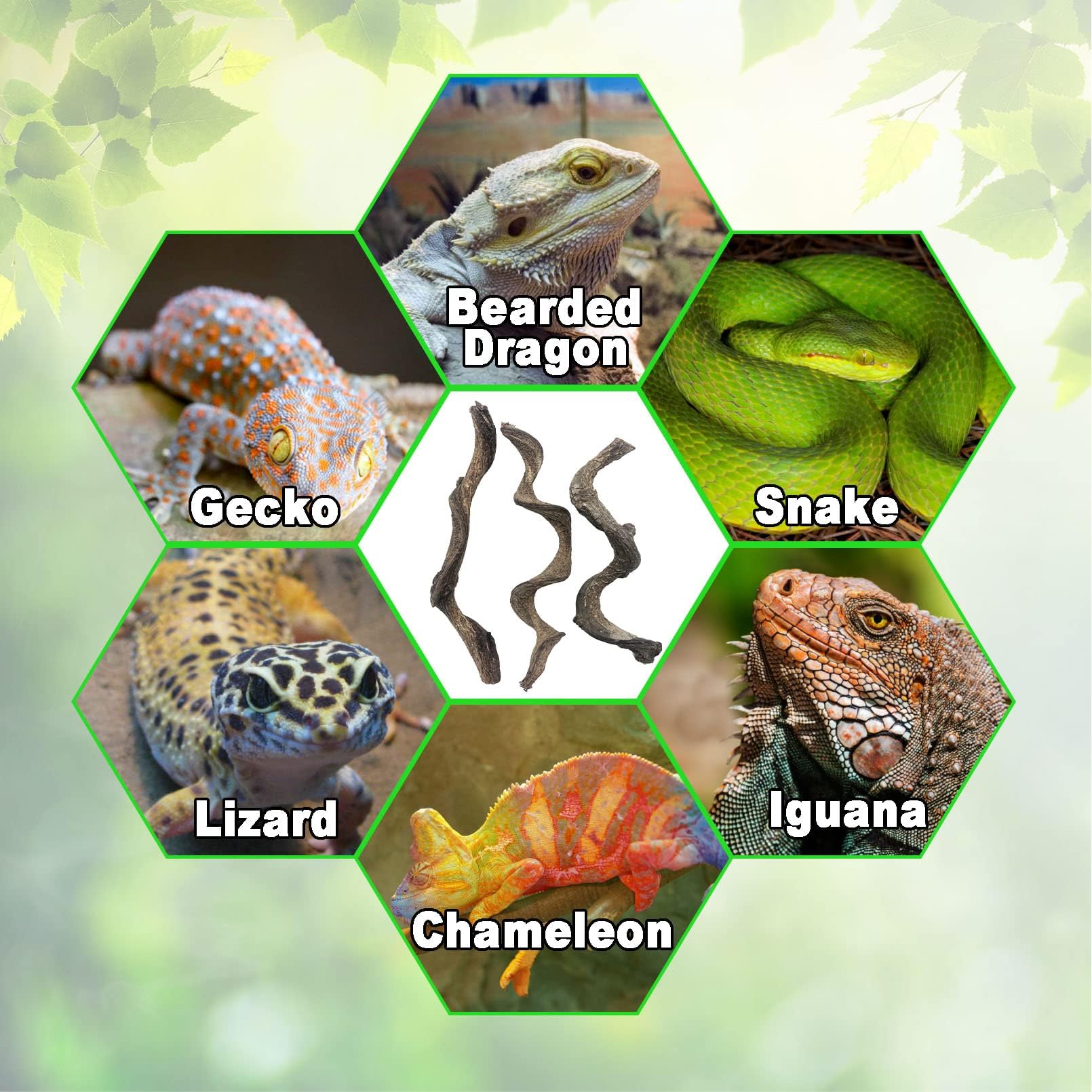 BNOSDM reptile branch variety enhances terrarium aesthetics and natural feel.