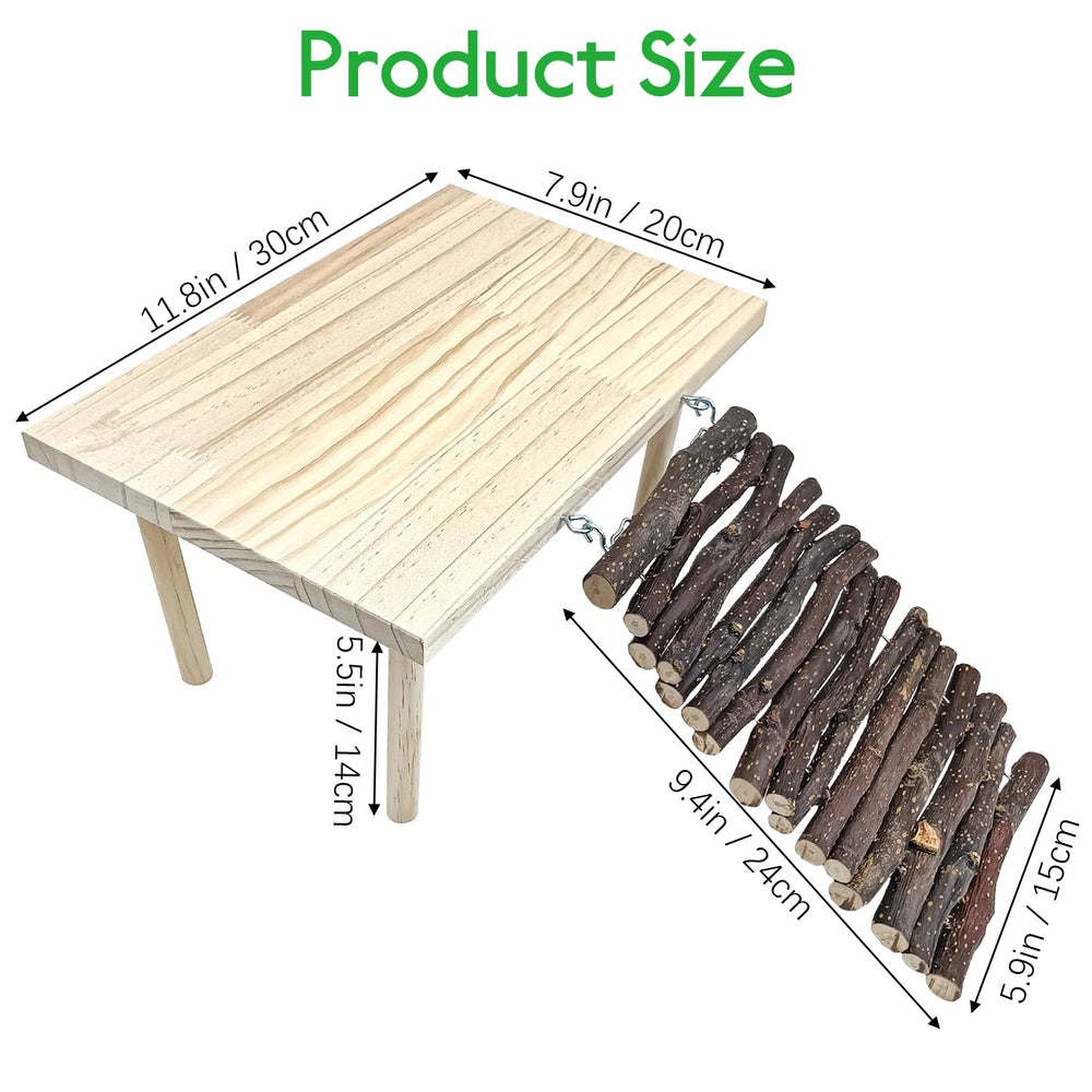 BNOSDM climbing ramp enhances exploration and exercise for small reptiles