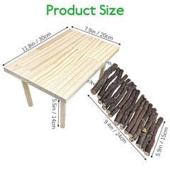 BNOSDM climbing ramp enhances exploration and exercise for small reptiles