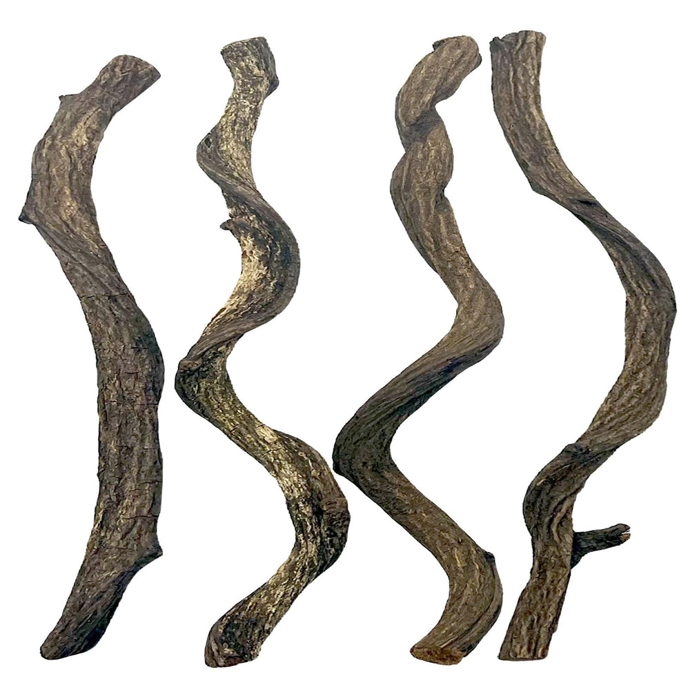 BNOSDM Reptile Forest Branch Decor closeup highlighting natural texture for climbing enrichment