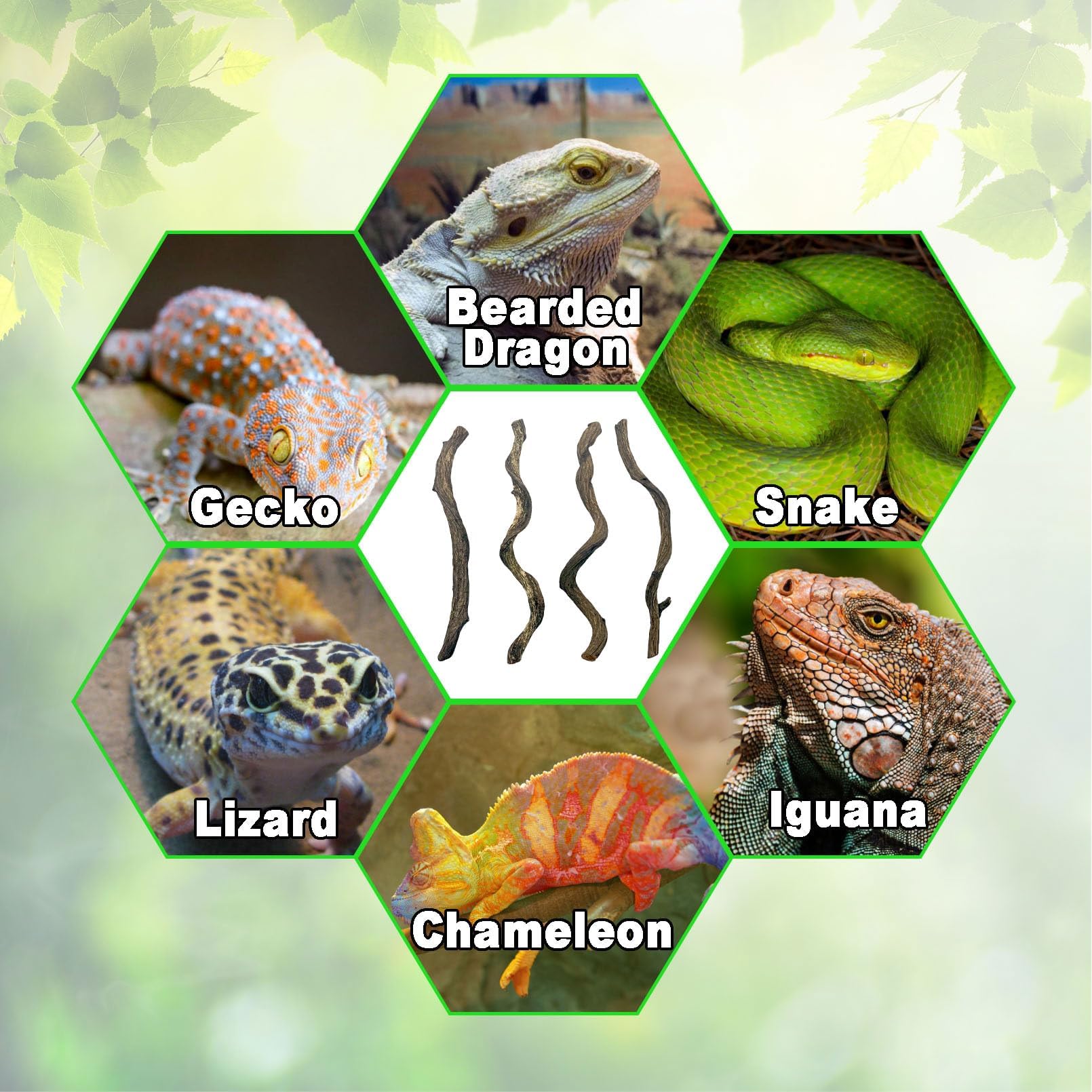 BNOSDM Reptile Forest Branch Decor frog habitat ready climbing structure
