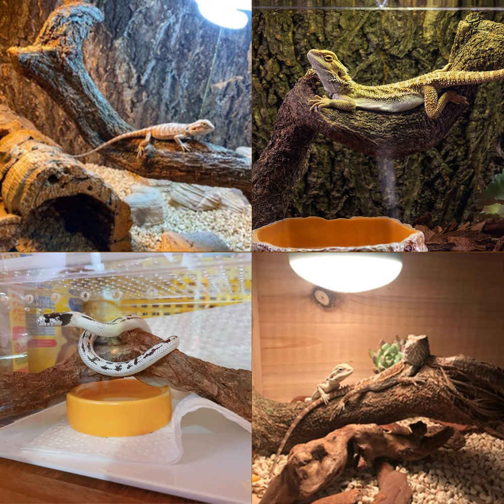 BNOSDM Reptile Forest Branch Decor gecko friendly textures promote exploration