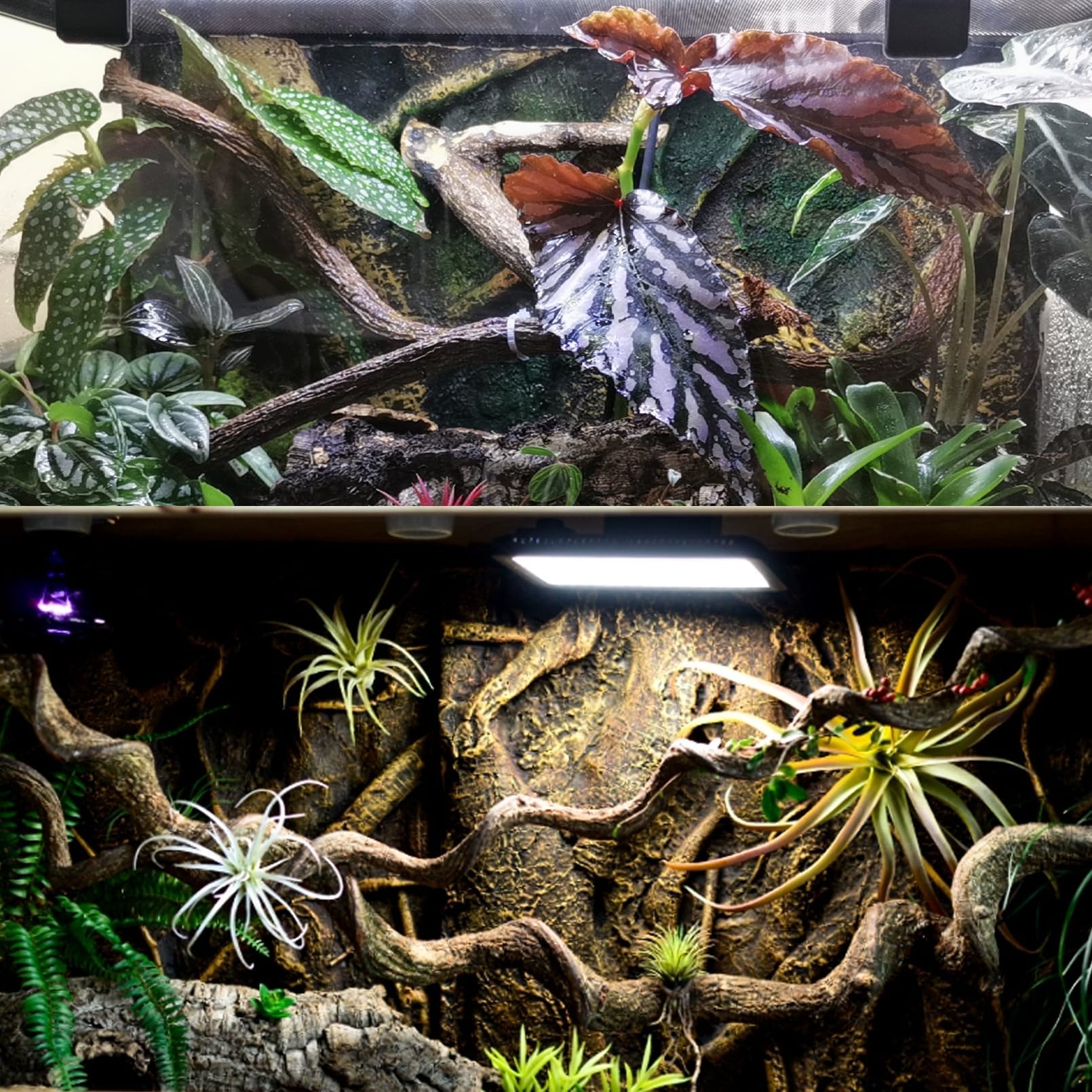 BNOSDM Reptile Forest Branch Decor snake friendly design blends with tank aesthetics