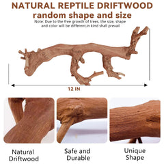 BNOSDM natural wood branch supports bearded dragon climbing and exploration