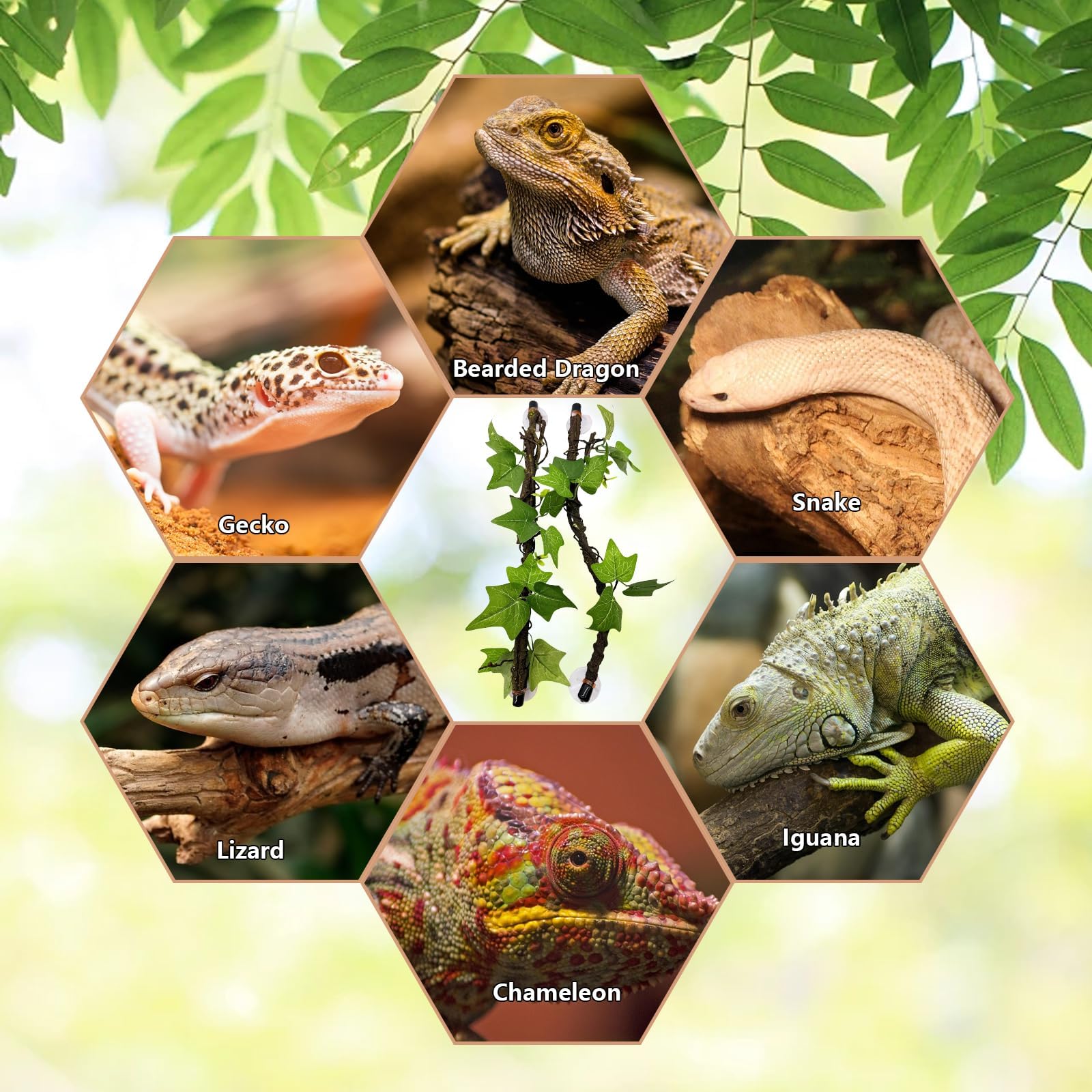 BNOSDM safe-material vines help create a calm habitat.