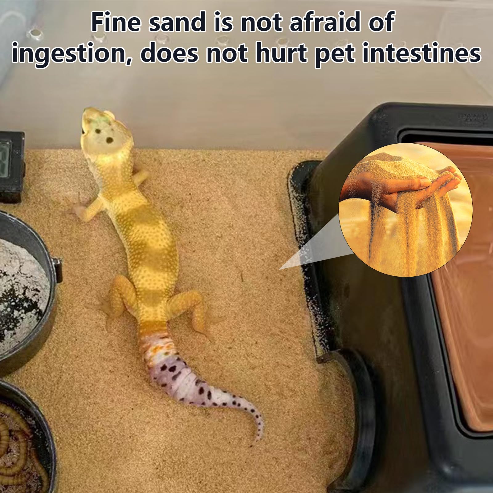 BNOSDM reptile sand for easy cleanup and feces removal