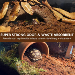 BNOSDM Reptile Soil Substrate in enclosure showing clean reptile bedding and setup