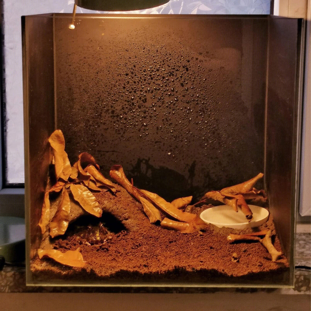 BNOSDM Reptile Soil Substrate suitable for geckos turtles chameleons