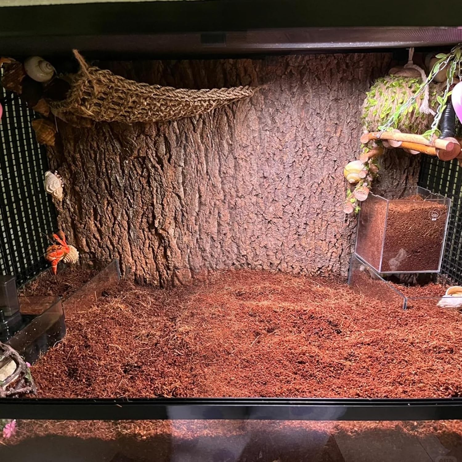 BNOSDM reptile soil substrate textured appearance supports natural behavior.