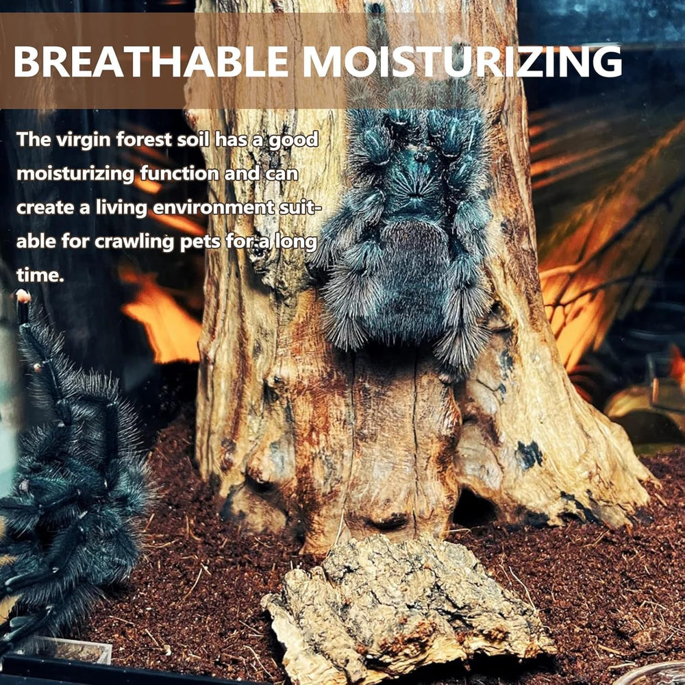 BNOSDM reptile soil substrate ventilation and moisture retention in terrarium.